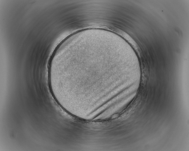 X0000111351096200908071128