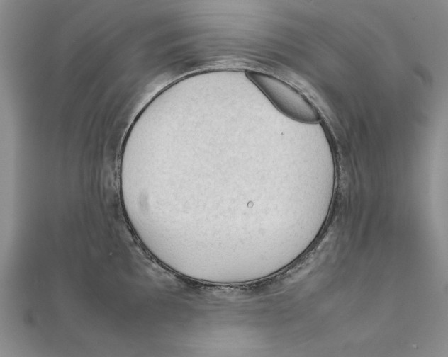 X0000111351097200908071128