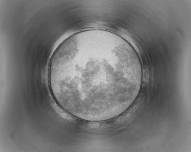 X0000111351098200908071128