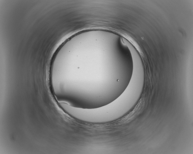 X0000111351101200908071128