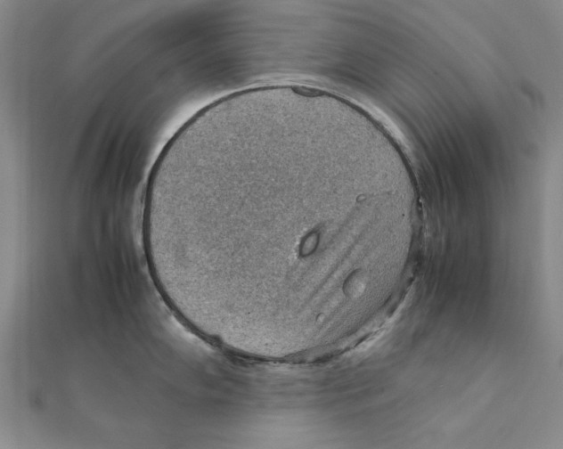 X0000111351102200908071128