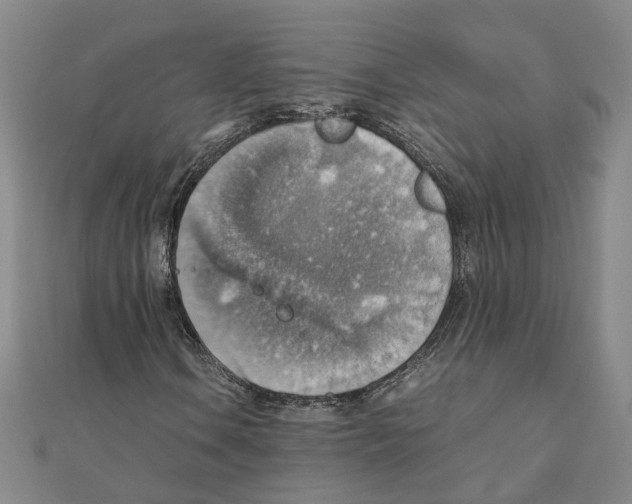 X0000111351106200908071127