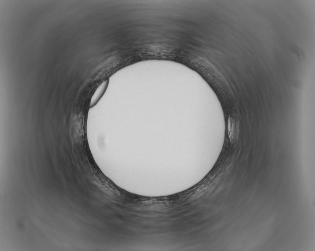 X0000111351107200908071127