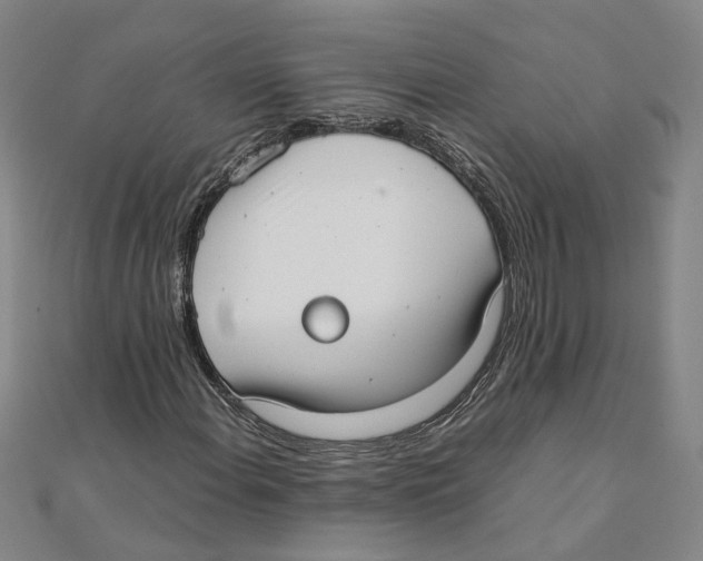 X0000111351108200908071127