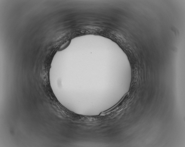 X0000111351109200908071127