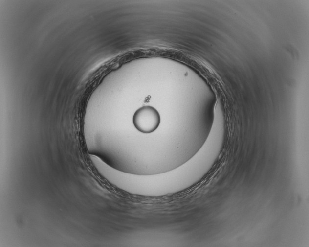X0000111351112200908071127