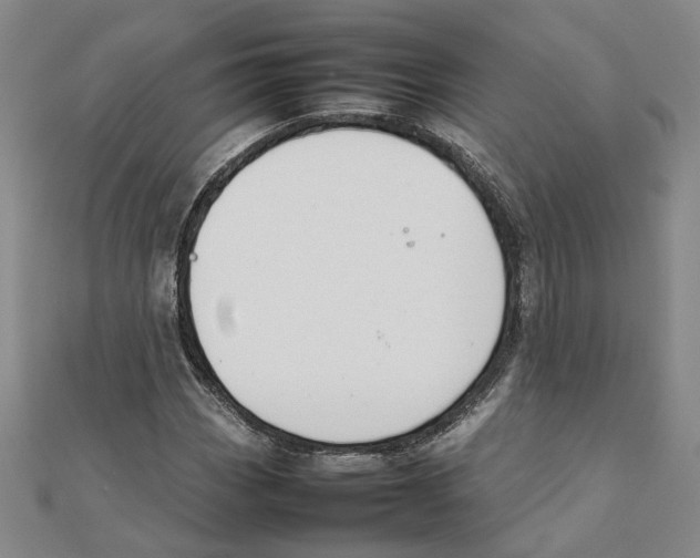 X0000111351113200908071127