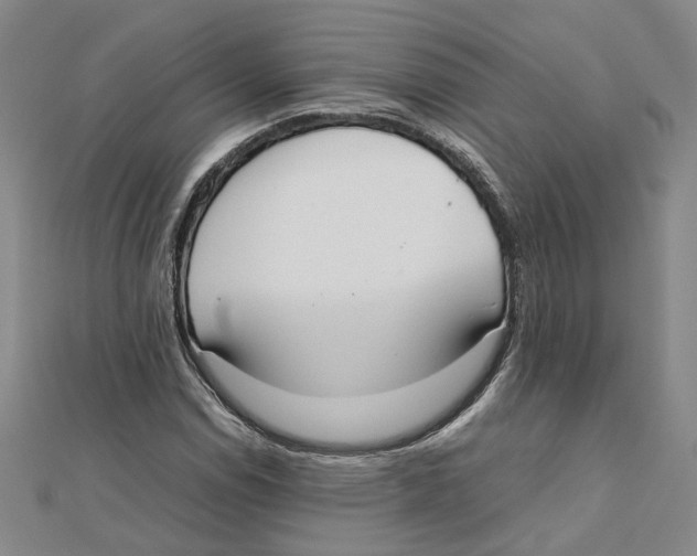 X0000111351114200908071127