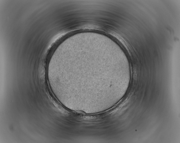 X0000111351115200908071127