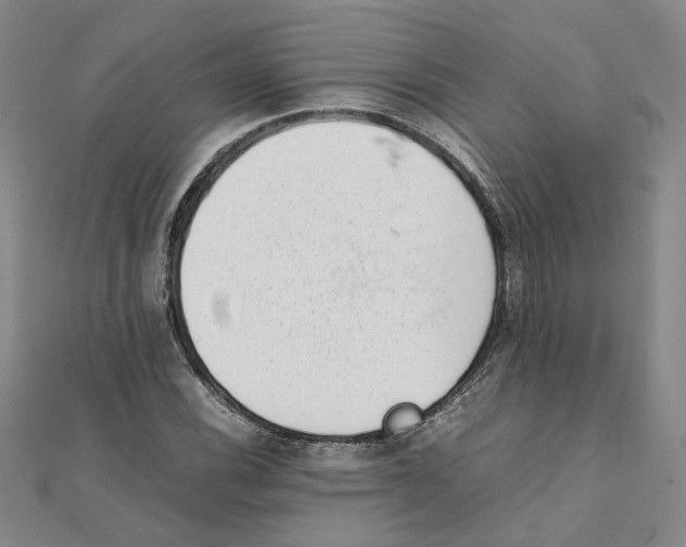 X0000111351116200908071127