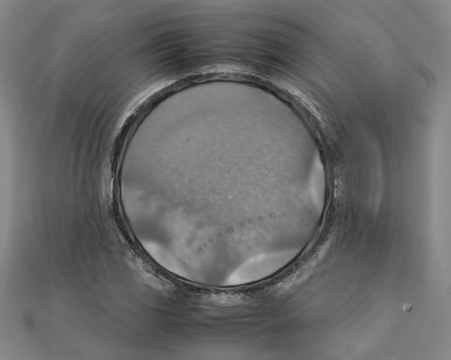 X0000111351117200908071127