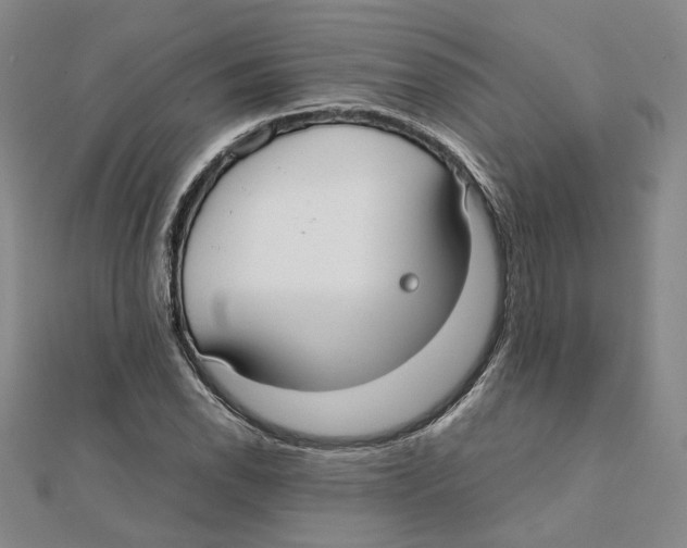 X0000111351118200908071127