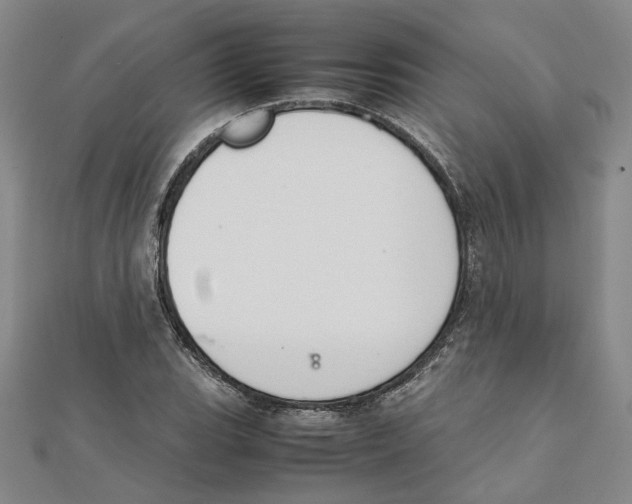 X0000111351119200908071127