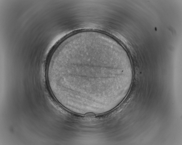 X0000111351120200908071127
