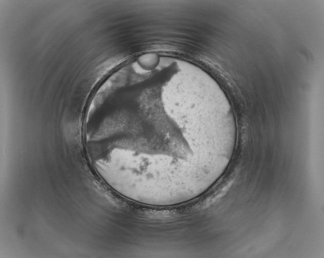 X0000111351121200908071127