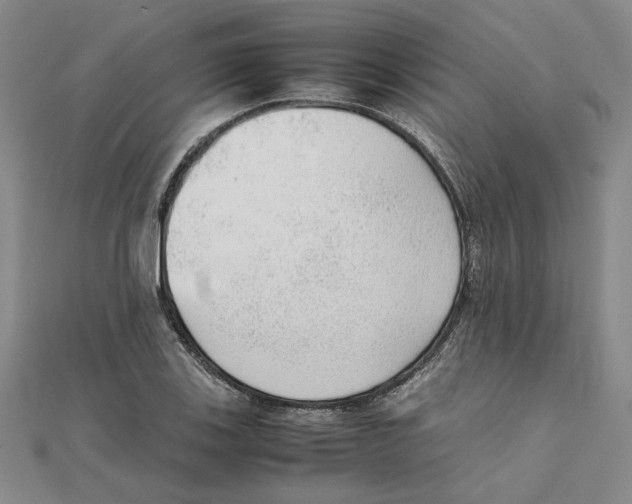 X0000111351123200908071127