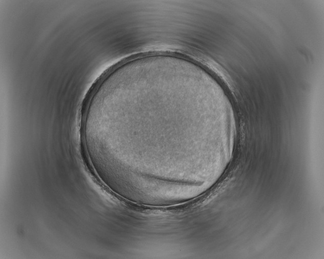 X0000111351124200908071127