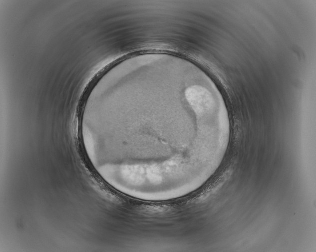X0000111351125200908071127