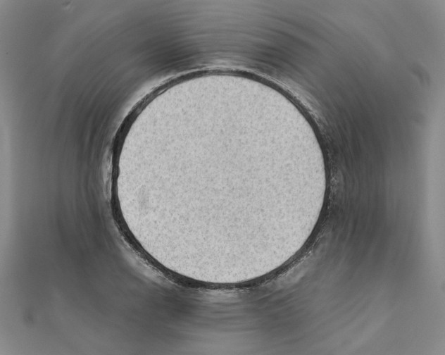 X0000111351126200908071127