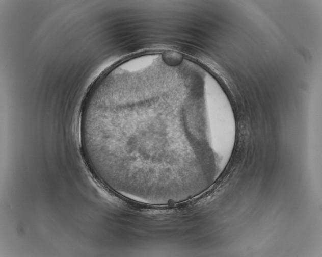 X0000111351127200908071127