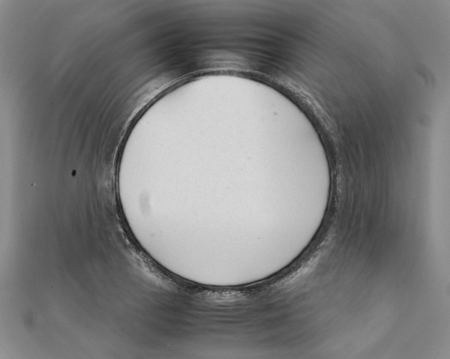 X0000111351129200908071127