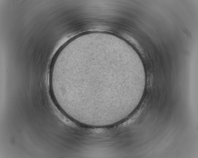 X0000111351130200908071127