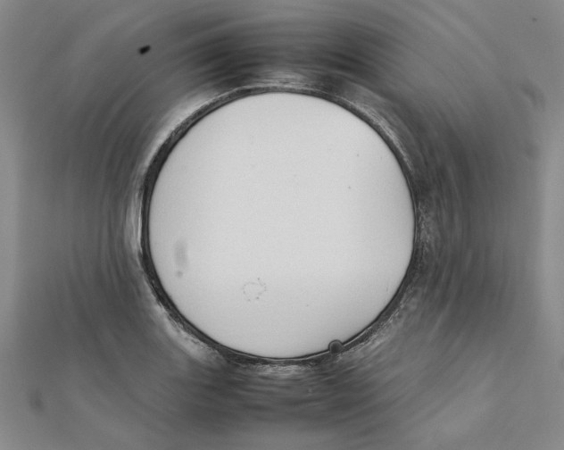 X0000111351131200908071127