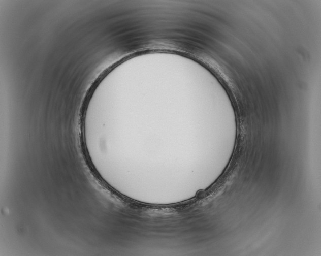 X0000111351133200908071127