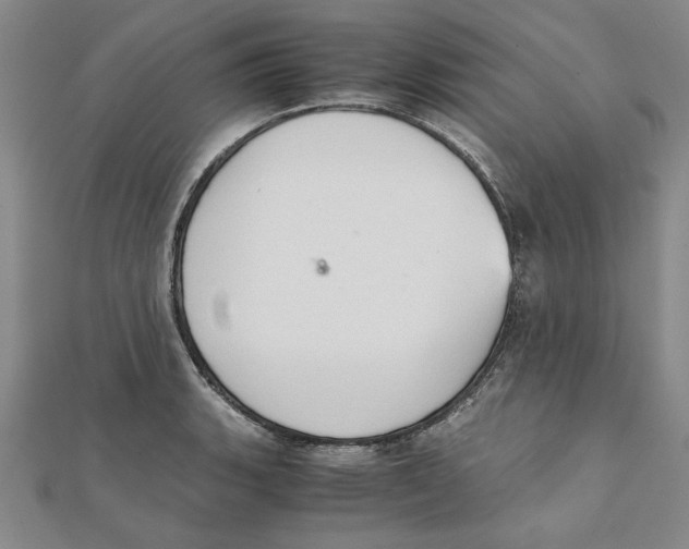 X0000111351135200908071127