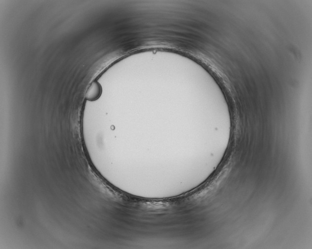 X0000111351137200908071127