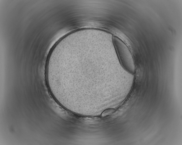 X0000111351138200908071127