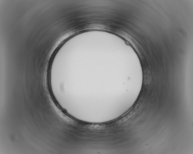 X0000111351139200908071127