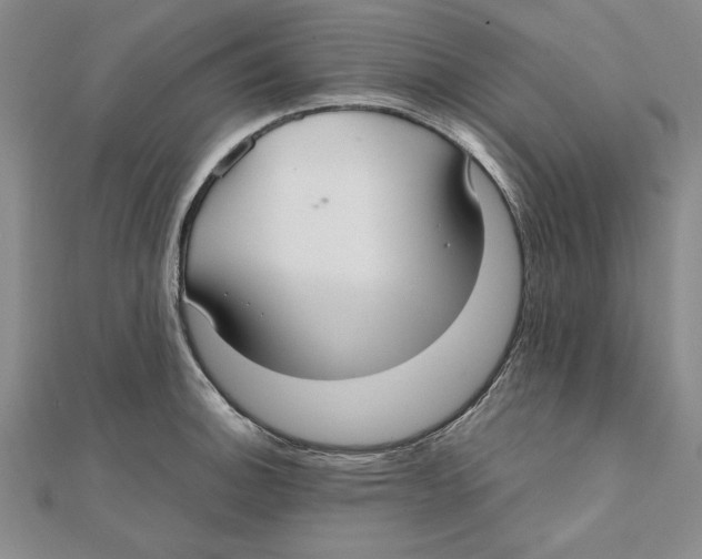 X0000111351140200908071127