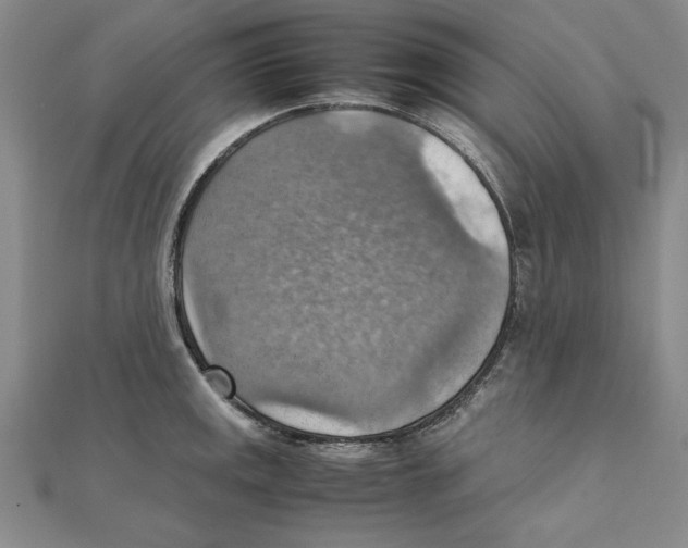 X0000111351141200908071127