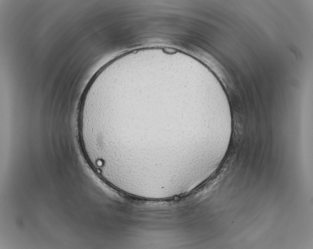 X0000111351142200908071127