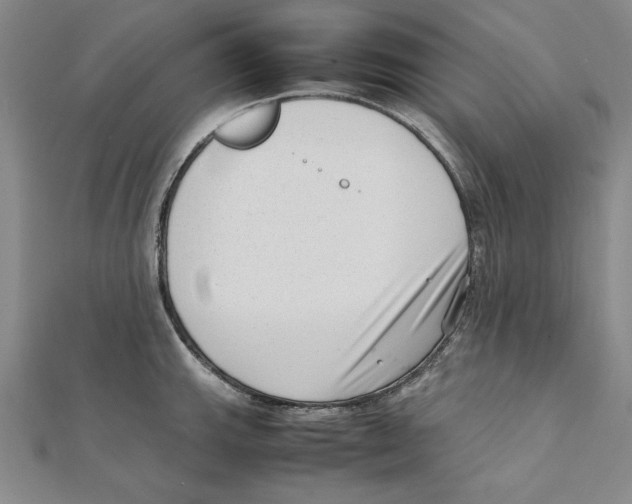X0000111351143200908071127