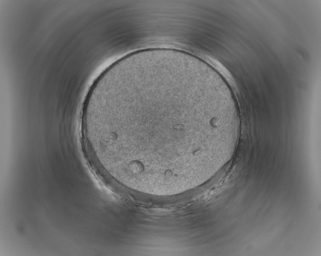 X0000111351144200908071127