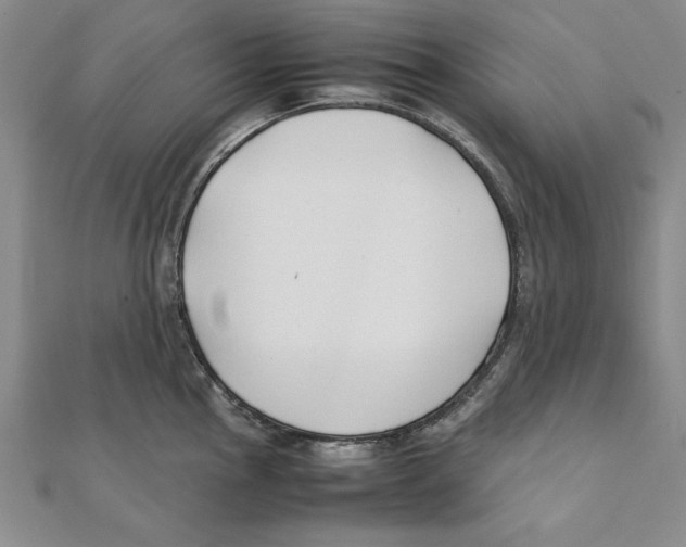 X0000111351145200908071127
