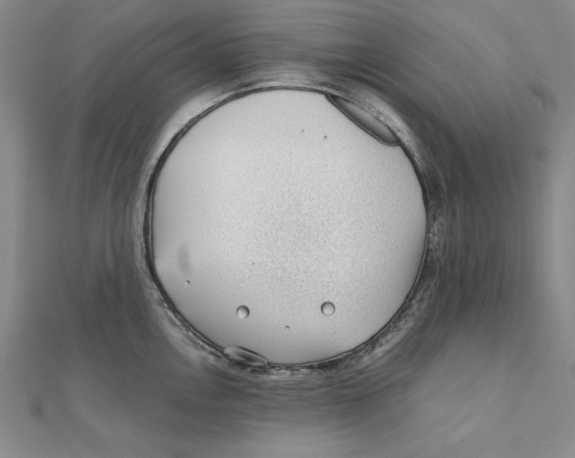 X0000111351146200908071127