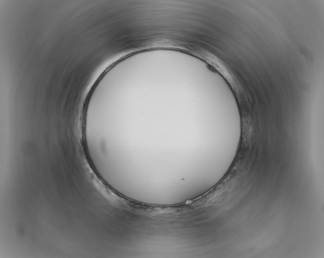 X0000111351148200908071128