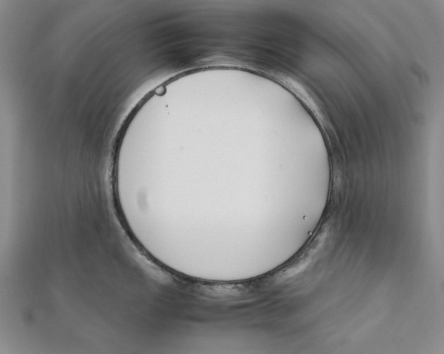 X0000111351149200908071128