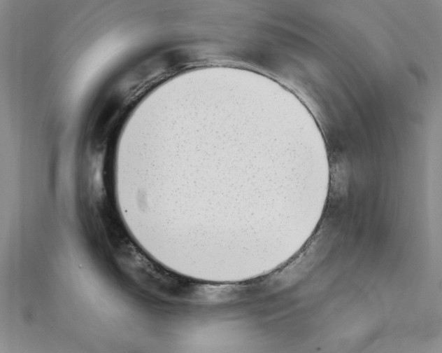 X0000111351150200908071128