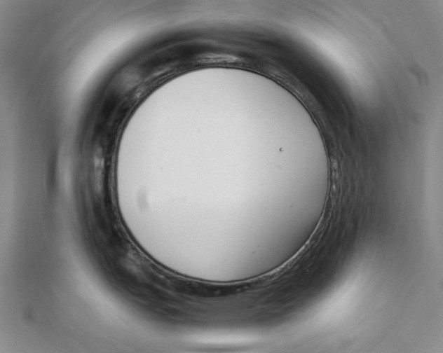 X0000111351151200908071128