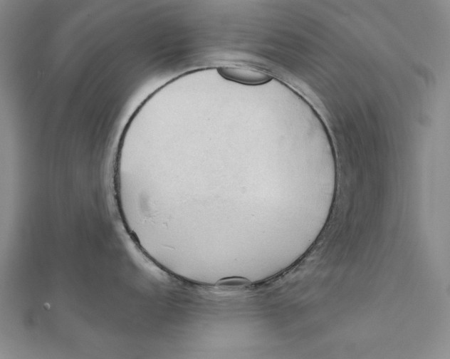 X0000111351152200908071128