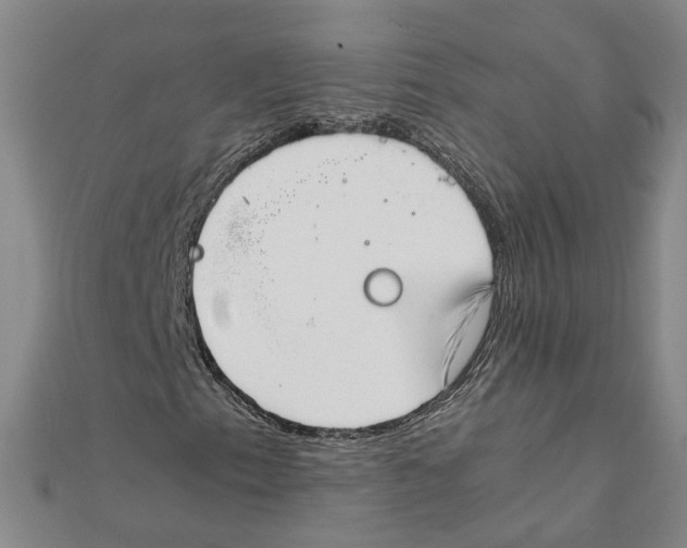 X0000111351153200908071127