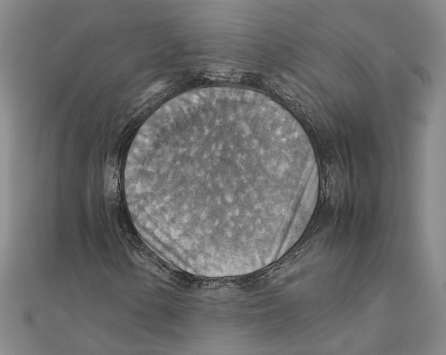X0000111351154200908071127