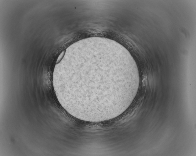 X0000111351156200908071127