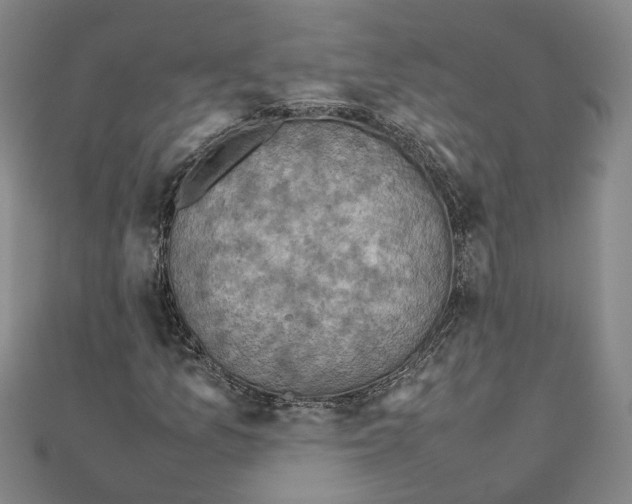 X0000111351157200908071127