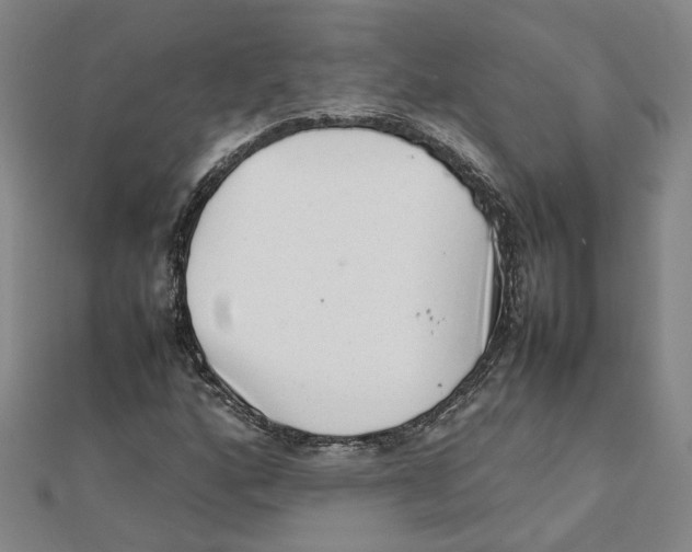 X0000111351160200908071127