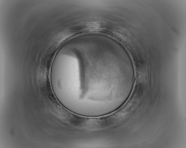X0000111351161200908071127
